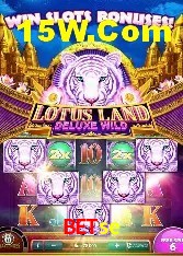 Casino Ao Vivo Betse